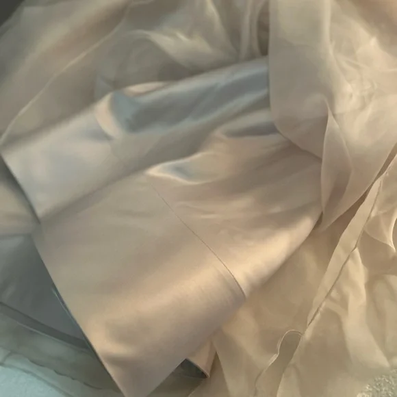 Alice + Olivia Abella Organza Maxi Skirt Nude/Dusty pink - Picture 15 of 16